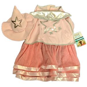 Martha Stewart Pets Pink Witch Costume Dress With Hat Dog Size L NWT